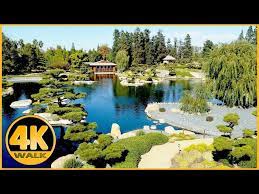 anese garden lake balboa 4k