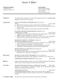 Resume Of Mba Student   Free Resume Example And Writing Download 