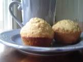 diana s awesome oatmeal muffins