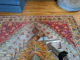 area rug cleaning urine odor removal