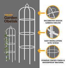 garden obelisk climbing plants