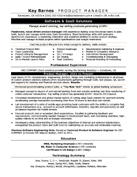 Product Manager Resume Sample Monster Project Manager Resume