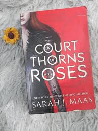Sarah janet maas was born on march 5, 1986 in new york city, new york. A Court Of Thorns And Roses Sarah J Maas Books Stationery Books On Carousell