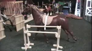 diy model horse jumps horse lover s math