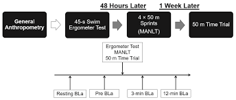 maximal ergometer testing