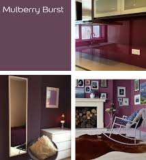 Dulux Mulberry Burst Paint Color