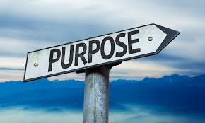 cultivating organisational purpose