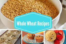 Whole Wheat Recipes Grinding Your Own Whole Wheat Flour Wheat  gambar png