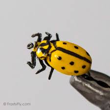 realistic yellow ladybug fly frostyfly