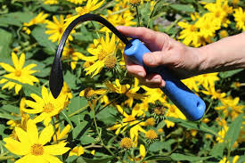 Cobrahead Review Get Rid Of Weeds With
