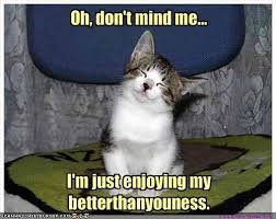 Image result for what my cat thinks he is doing