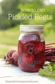 how to can pickled beets the prairie