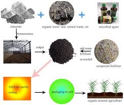 bio organic mineral fertilizer