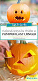 How do you preserve a pumpkin naturally?