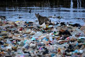 Maybe you would like to learn more about one of these? Here S How Indonesia Plans To Tackle Its Plastic Pollution Problem World Economic Forum