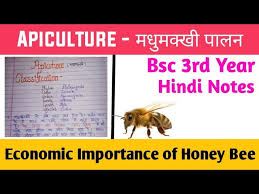 economic important of honey bee zoology