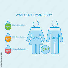 water in human body levels of