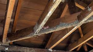 termite wood repairs termite wood damage