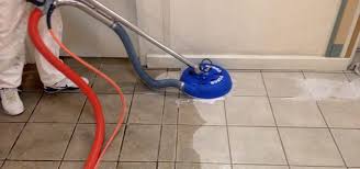 aaa carpet cleaning upholstery grout