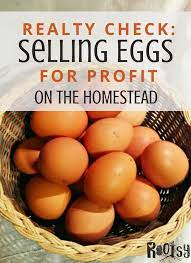 Most backyard chicken hobbyists don't start a new flock with plans for financial although your eggs were raised with love and unparallelled care, even the most appreciative buyers know the price of eggs in their local market. How Much To Sell Eggs Canada Arxiusarquitectura