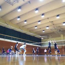 volleyball tokyo gaijins