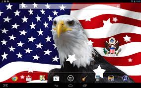 Hasil gambar untuk american flag typing symbol