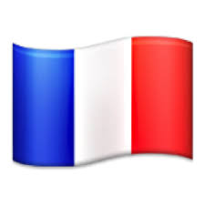 French Flag Emoji Google Search Flag Emoji Emoji Flag