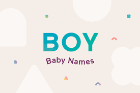 baby boy names that start with s