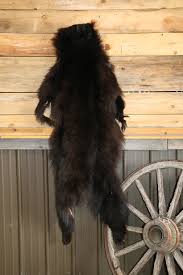 black bear hide c d international