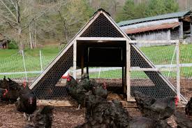 Check spelling or type a new query. Chicken Coops That Work 5 Brilliant Ways Abundant Permaculture