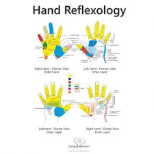 Pack Of English Charts Neuro Hand Reflex Therapy 3 Charts Irfi De Lone Sorensen Sl