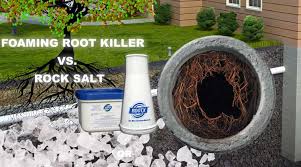 Rock Salt To Kill Roots Does It Work