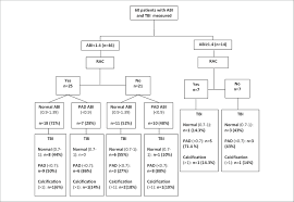 Flow Chart Of Patients Of The Study Abbreviations Abi