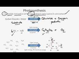 2 18 Photosynthesis Equations