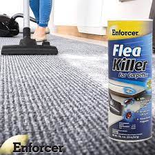 enforcer flea for carpets 20