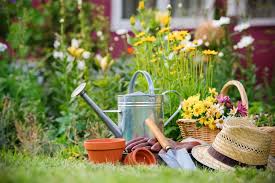 8 Tips For An Eco Friendly Garden Scarce