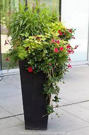 Decorative Planting In Large Containers