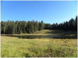 Our focus is on public lands. Apache Sitgreaves National Forests Special Places