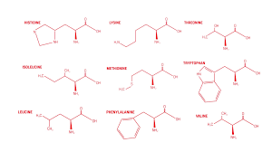 What About Protein The Science On Protein The Game Changers