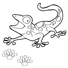 Did you know that geckos do not have eyelids and can't blink, so they lick their eyes to clean them and. Paw Print With Gecko Coloring Page Vector Stock Vector Illustration Of Animal Character 60292938