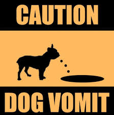 causes of my dog vomiting bile