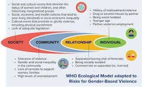 Gender Based Violence Being Not Male Increases Risk Of