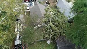 Aka tree removal has been providing professional tree services to the atlanta area for nearly 20 years. Couple In Their 20s Killed When Tree Falls On Home Wsb Tv Channel 2 Atlanta