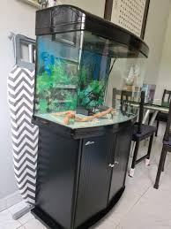 fish tank and filter and other