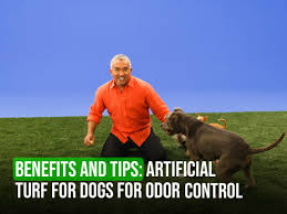 artificial turf for dogs for odor
