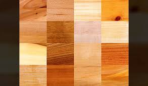 kitchen cabinet wood types