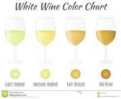 White Wine Color Chart Hand Drawn Wine Glasses Stock