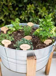 An Easy Simple Diy Backyard Herb