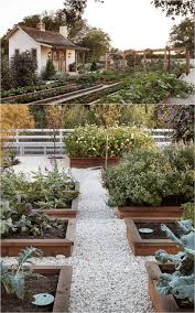 7 Best Vegetable Garden Layout Ideas On