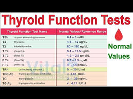 Videos Matching Thyroid Function Test Thyroid Function